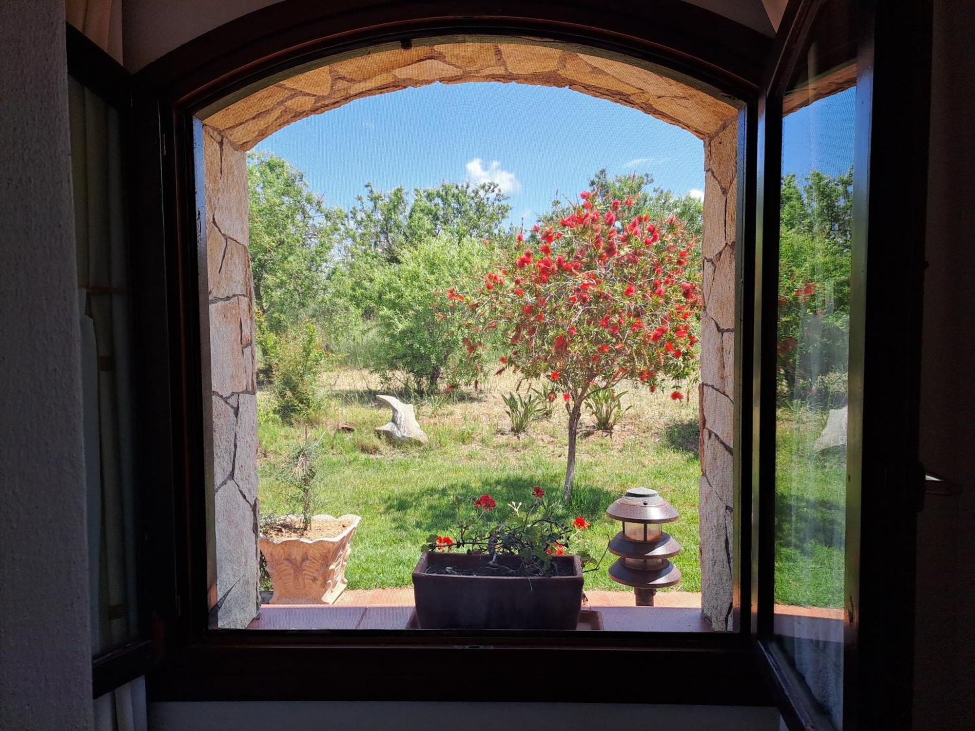 B&B Castiglias Αλγκέρο Εξωτερικό φωτογραφία